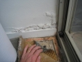 Building Defects
